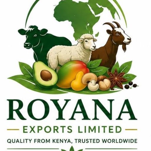 roayan logo